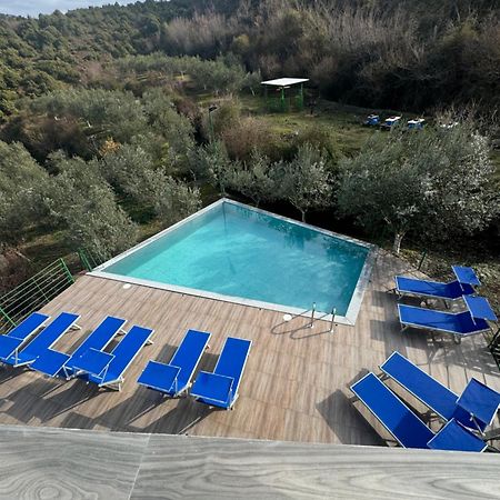 Qyteza Guest House & Camping Shkodër 外观 照片