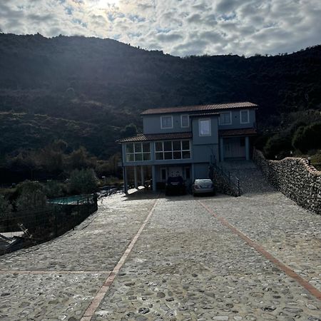 Qyteza Guest House & Camping Shkodër 外观 照片
