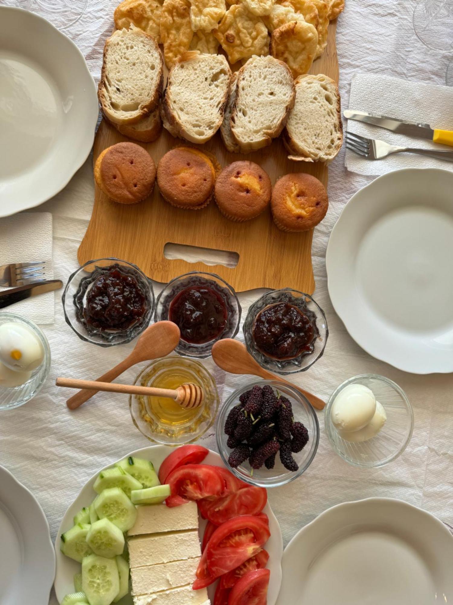 Qyteza Guest House & Camping Shkodër 外观 照片